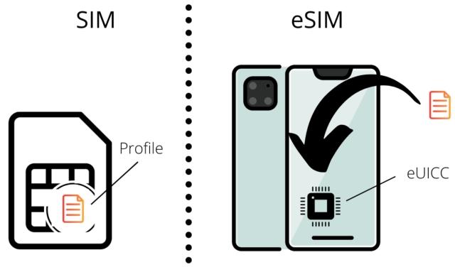 eSim and physical sim together