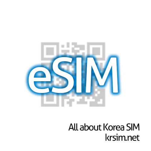 eSim korea