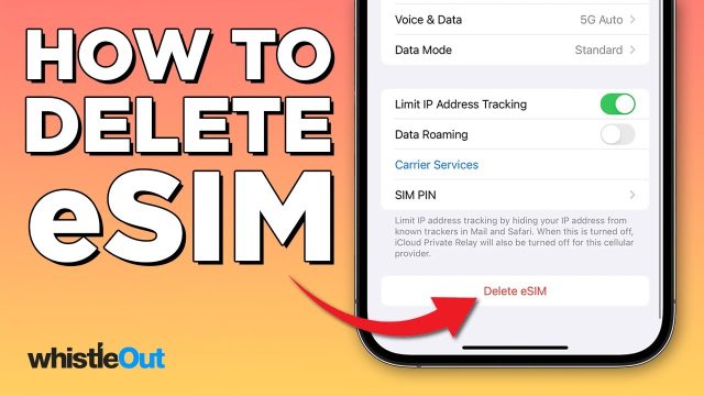 How to Remove Esim From Your iPhone